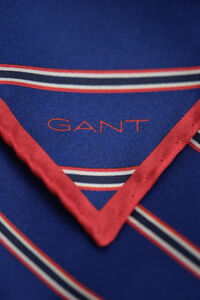 Gestreiftes Einstecktuch