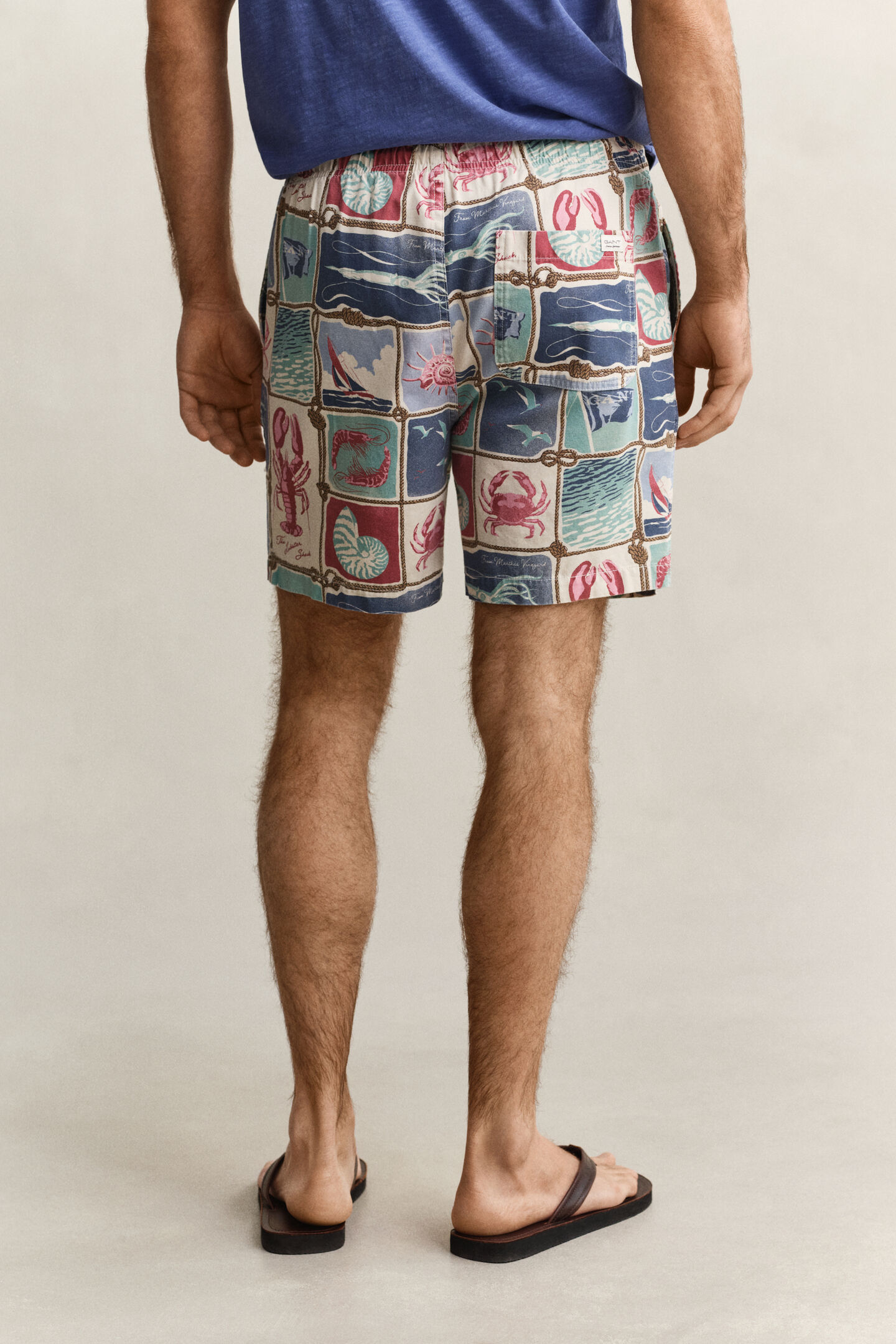 Nautical Shorts